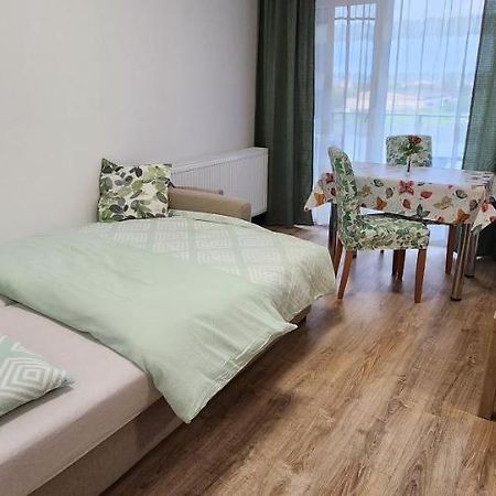 Butterfly Apartment Timişoara Extérieur photo