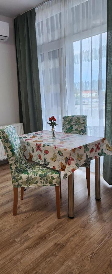 Butterfly Apartment Timişoara Extérieur photo