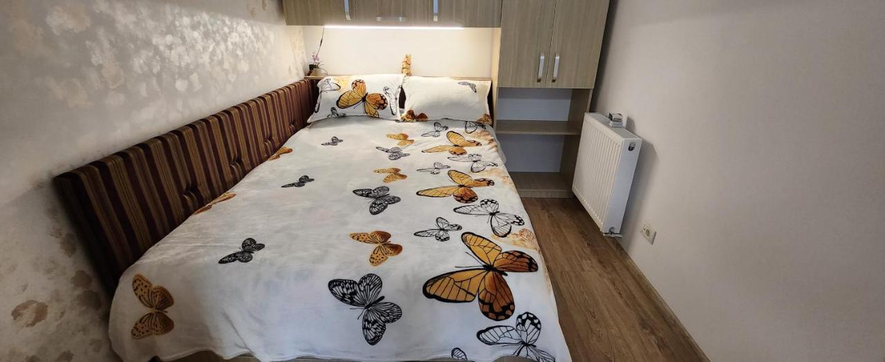 Butterfly Apartment Timişoara Extérieur photo