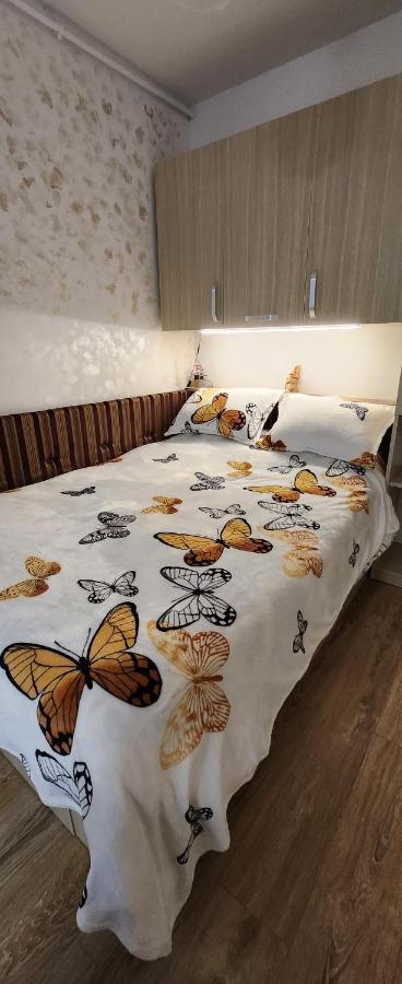 Butterfly Apartment Timişoara Extérieur photo